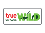 True Explore Wild