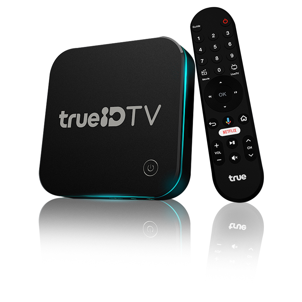 บริการหลักของ TrueID ได้แก่ TrueID TV (สตรีมมิ่งรายการทีวีและภาพยนตร์), TrueID Music (ฟังเพลงออนไลน์), TrueID News (ข่าวสาร), และ TrueID Game (เกมออนไลน์)