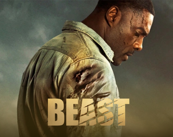 premium movies banner